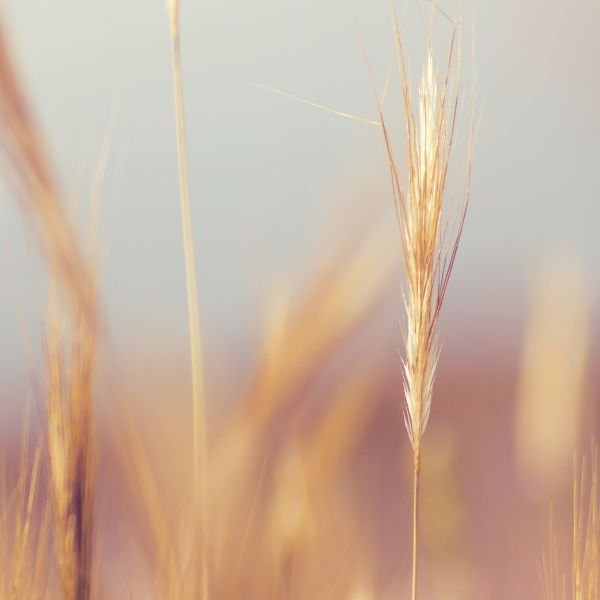 nature10